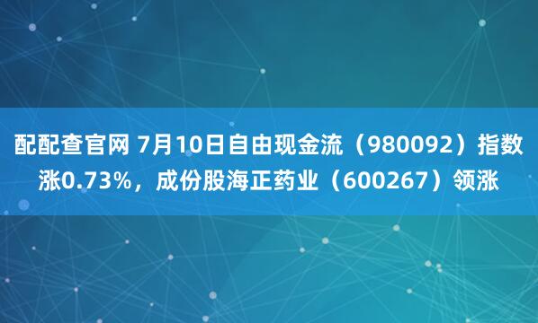 配配查官网 7月10日自由现金流（980092）指数涨0.73%，成份股海正药业（600267）领涨