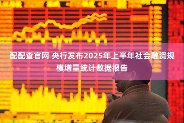 配配查官网 央行发布2025年上半年社会融资规模增量统计数据报告